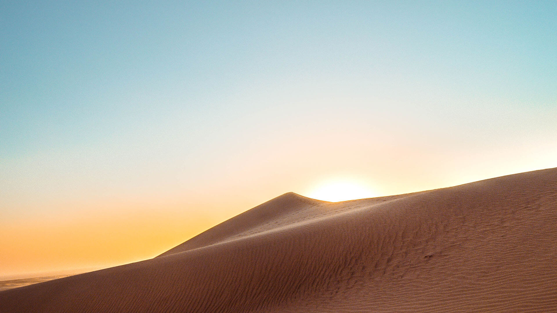 header_dune